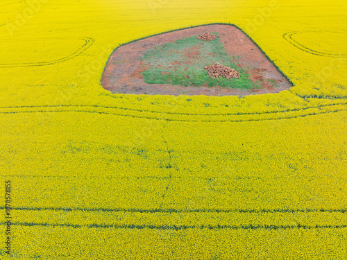 Aerial view of parallel lines around a rocky patch in a flowering canola crop photo