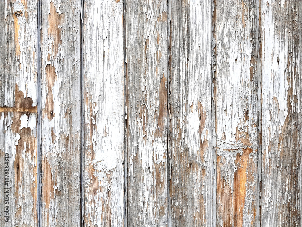 Background white old wooden planks board texture. Background white old wooden planks board texture.