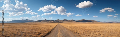 A long, straight dirt road cuts through a vast, dry, grassy plain under a clear blue sky with fluffy white clouds.