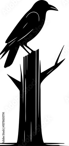 silhouette of a bird