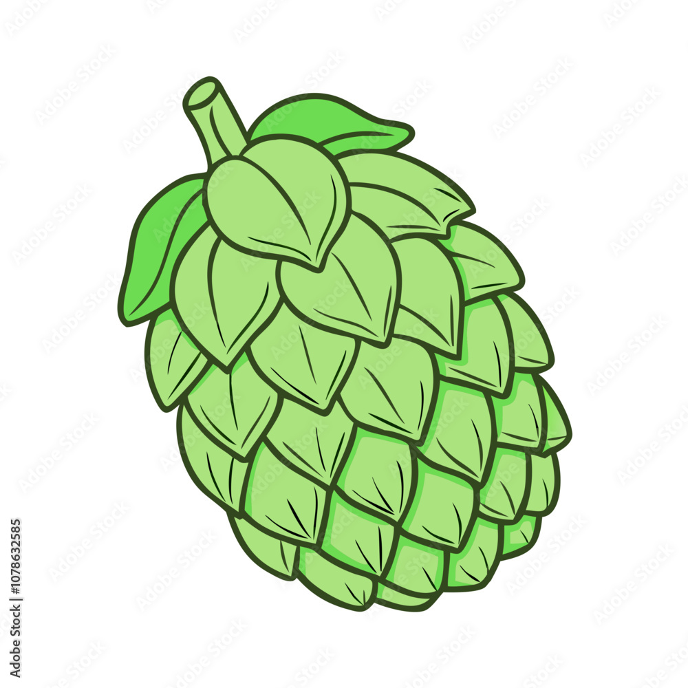 pine cones isolated on white vector art,  flat illustration pine cones isolated on white icon