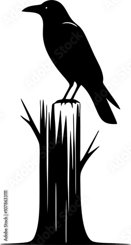 silhouette of a crow