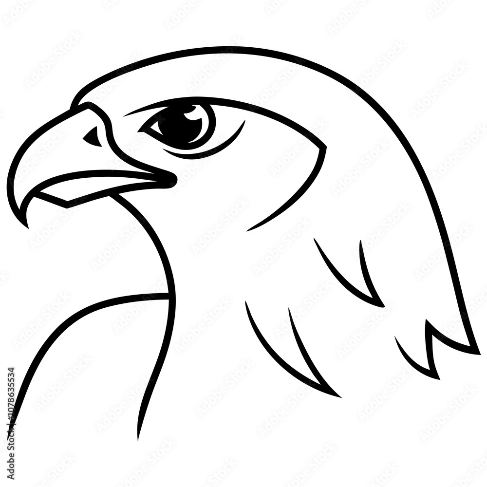 Falcon head vector line art illustration Falcon head vector line art illustration