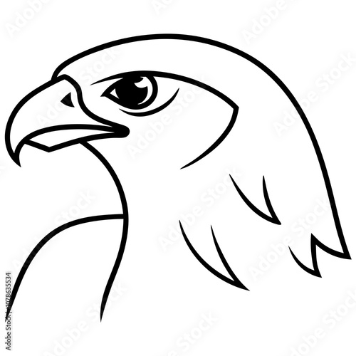 Falcon head vector line art illustration