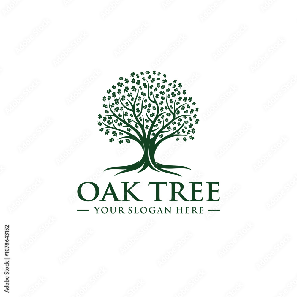 Obraz premium Oak tree logo template vector illustration