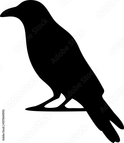 silhouette of a crow