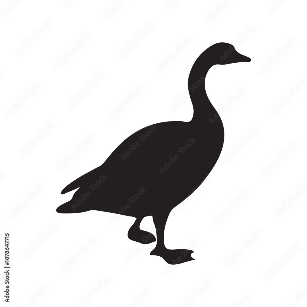 goose isolated on white, Black silhouette of goose. Isolated image of farm bird. Domestic amimal icon. Isolated image goose isolated on white, Black silhouette of goose. Isolated image of farm bird. Domestic amimal icon. Isolated image