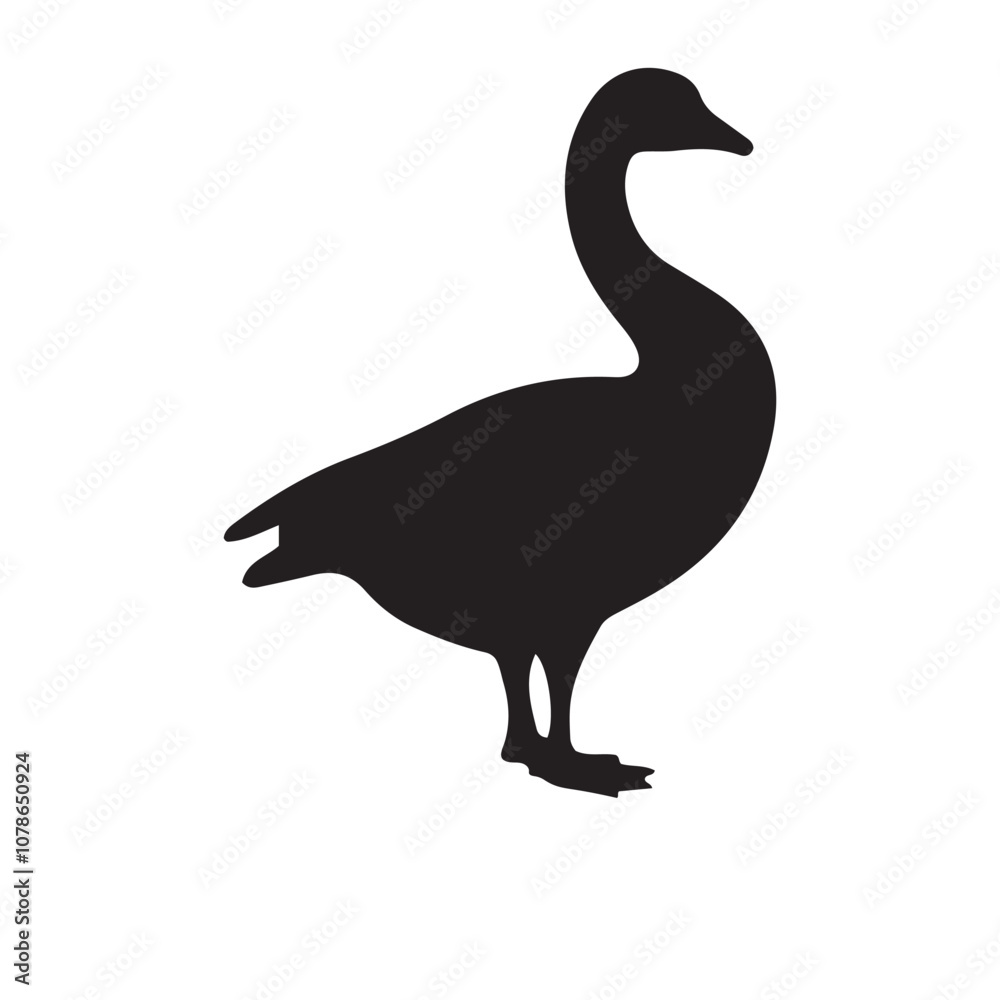 goose isolated on white, Black silhouette of goose. Isolated image of farm bird. Domestic amimal icon. Isolated image goose isolated on white, Black silhouette of goose. Isolated image of farm bird. Domestic amimal icon. Isolated image