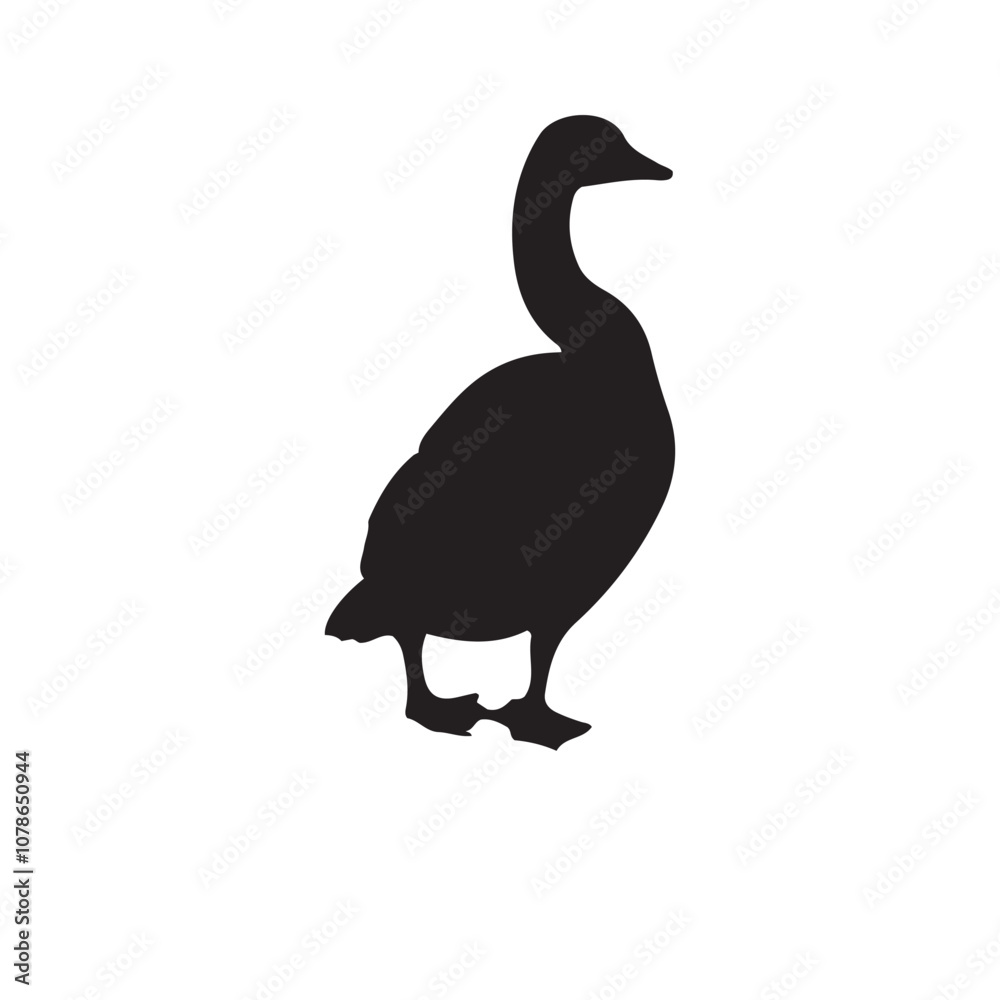 goose isolated on white, Black silhouette of goose. Isolated image of farm bird. Domestic amimal icon. Isolated image goose isolated on white, Black silhouette of goose. Isolated image of farm bird. Domestic amimal icon. Isolated image