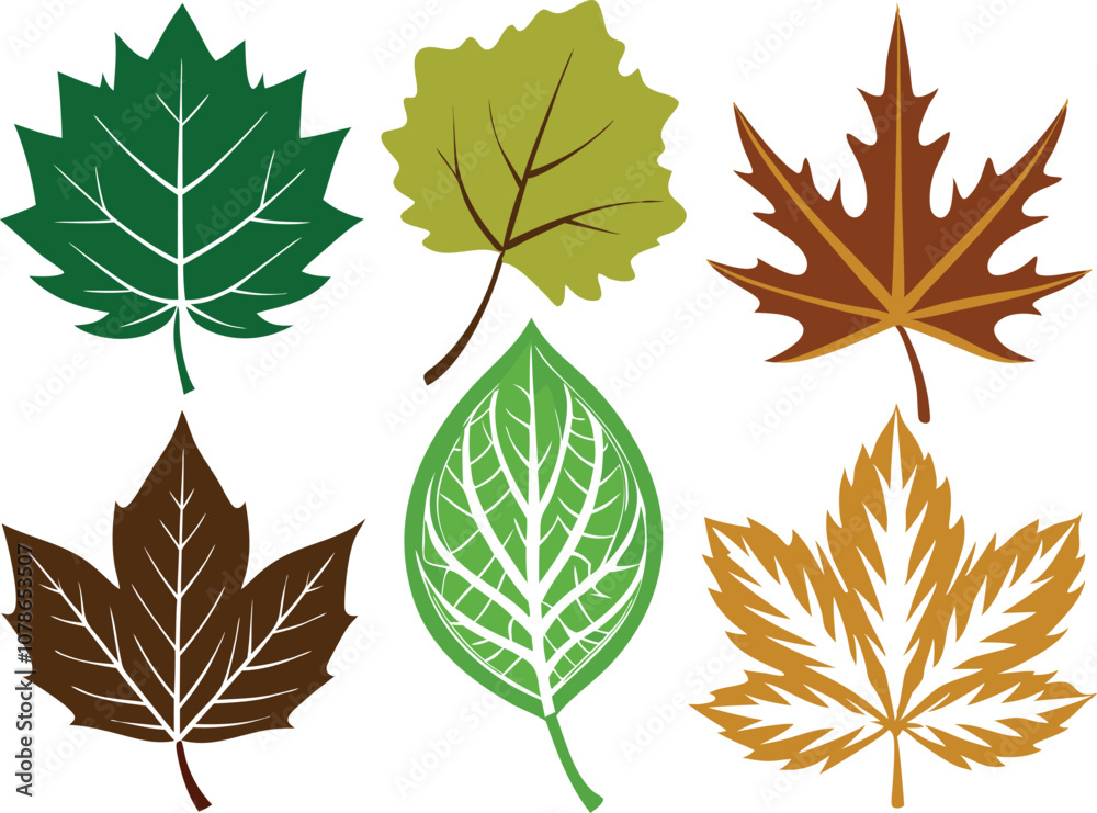 Vector Silhouette Summer Icon Set of Different Maple Leaves on White Background Vector Silhouette Summer Icon Set of Different Maple Leaves on White Background