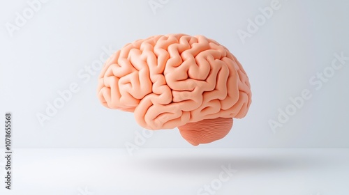 White background illustration of a low brain isolated.