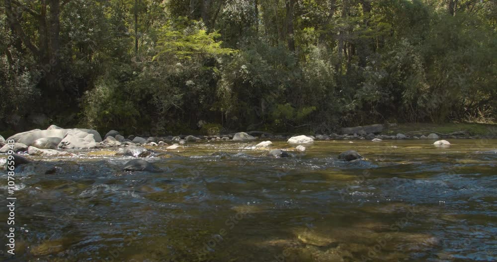 RIVER STREAM RIVER STREAM