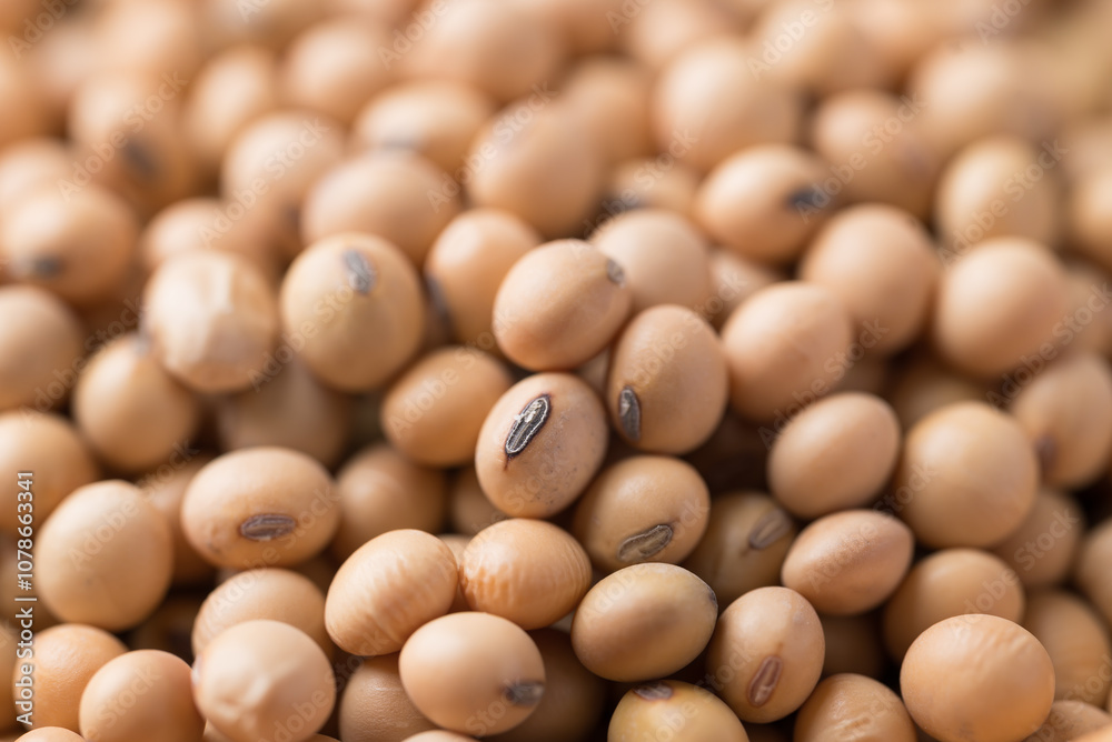 Soy bean seeds texture background, Food ingredient Soy bean seeds texture background, Food ingredient