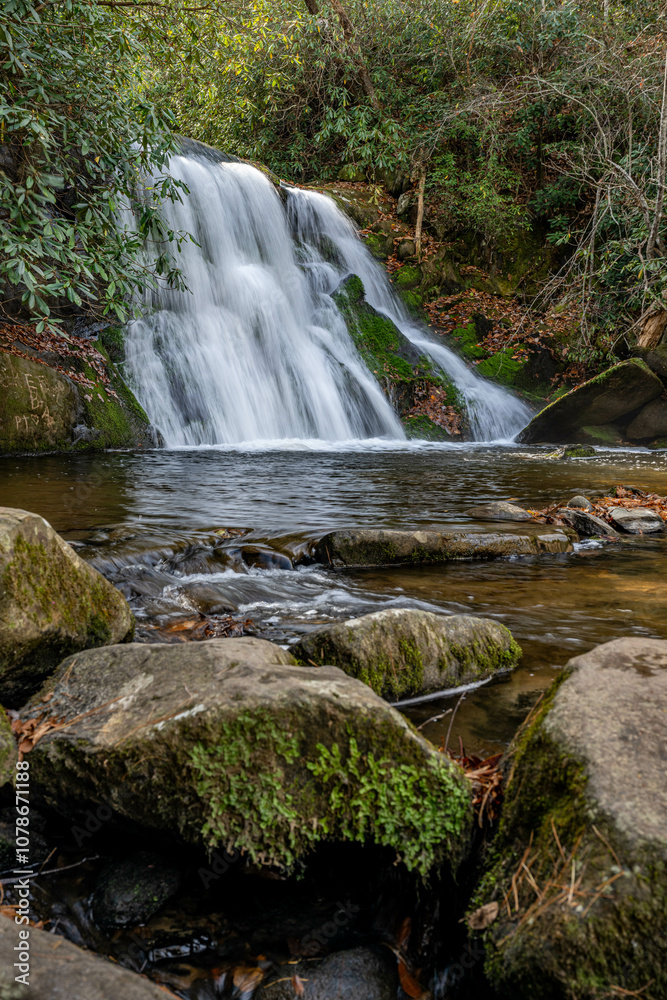 Fototapeta premium yellow creek falls, robbinsville, north carolina