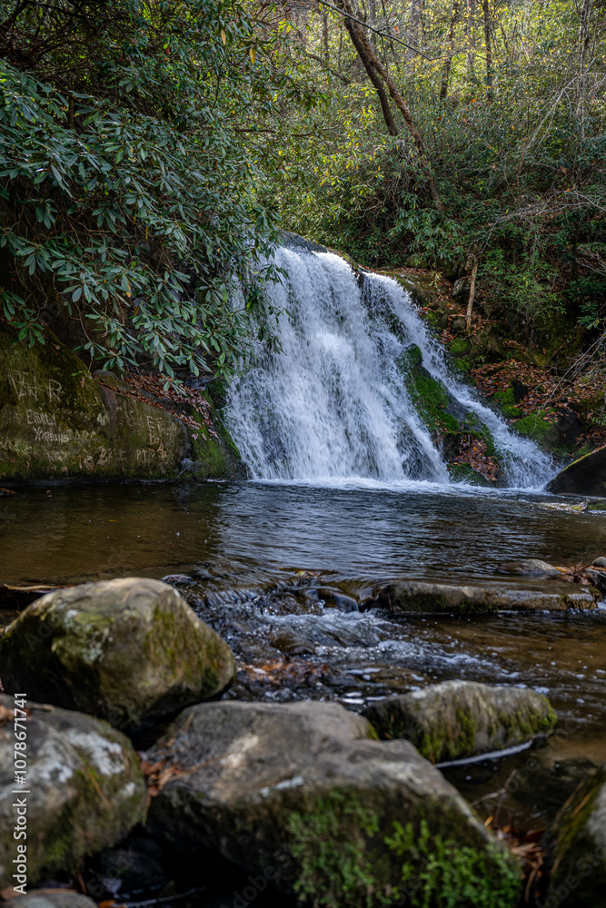yellow creek falls, robbinsville, north carolina yellow creek falls, robbinsville, north carolina