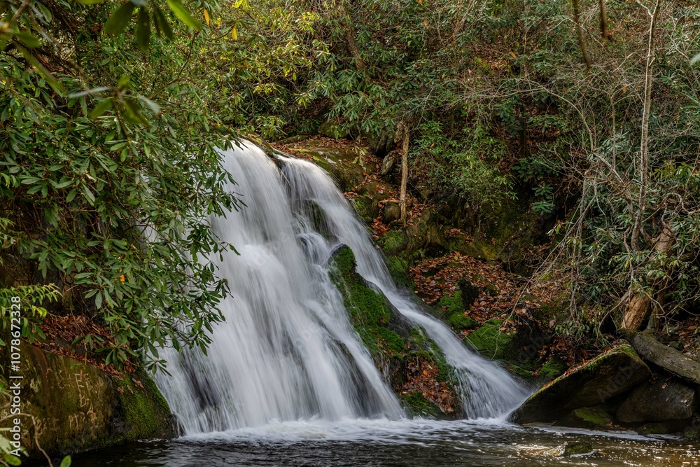 yellow creek falls, robbinsville, north carolina yellow creek falls, robbinsville, north carolina