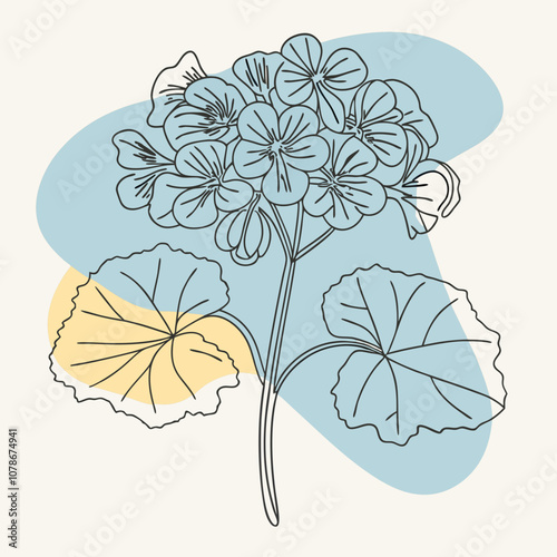 Vibrant Geranium Flower Vector Illustration  Detailed Floral Artwork for Designers and Illustrators