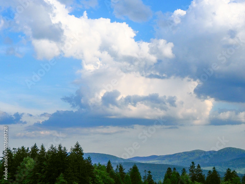 202405_Poland - Nowica, Gorlicie - bucolic countryside in the nature of Gorlicie, forests in the meadows, with the Tatras Mountains in the background