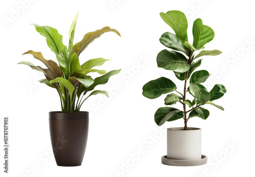 Set of large modern indoor plant pots, isolated against a transparent background