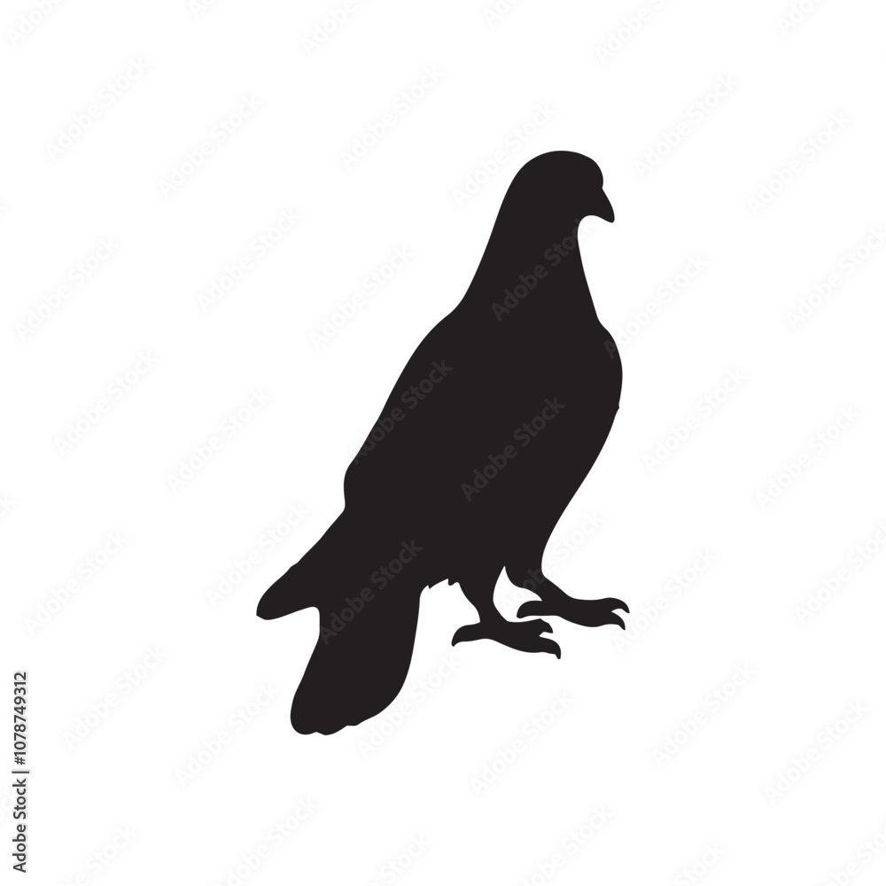 Fototapeta premium illustration of a pigeon silhouette vector art Illustration, Beautiful bird pigeon silhouette black icon vector art illustration