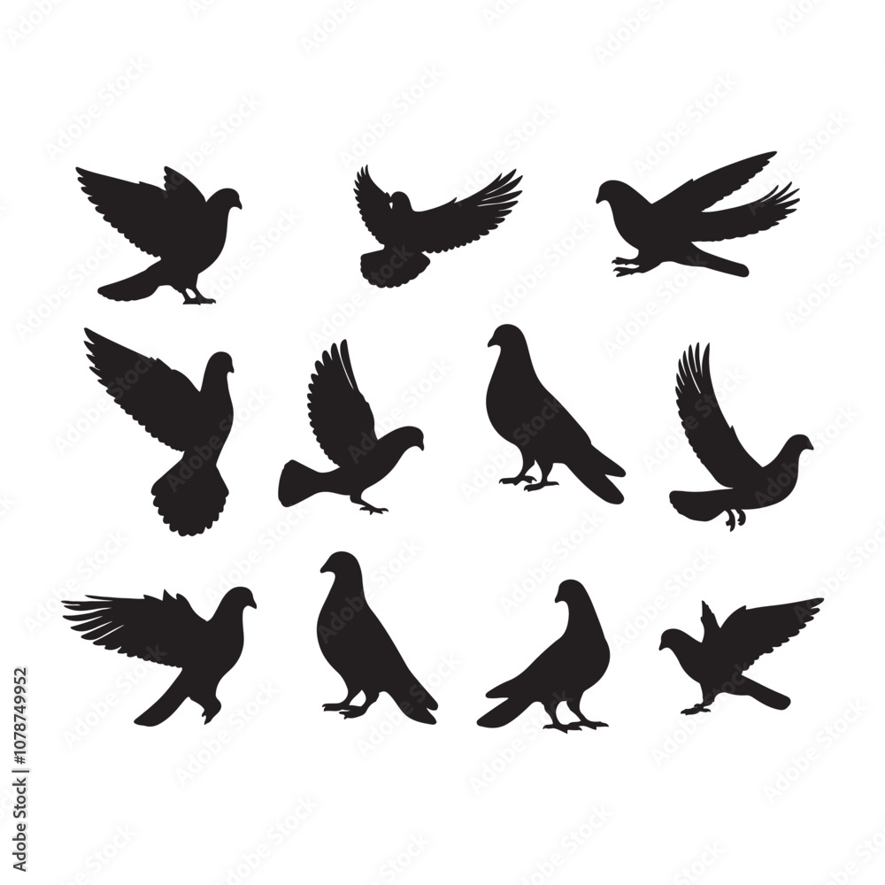 Fototapeta premium illustration of a pigeon silhouette vector art Illustration, Beautiful bird pigeon silhouette black icon vector art illustration