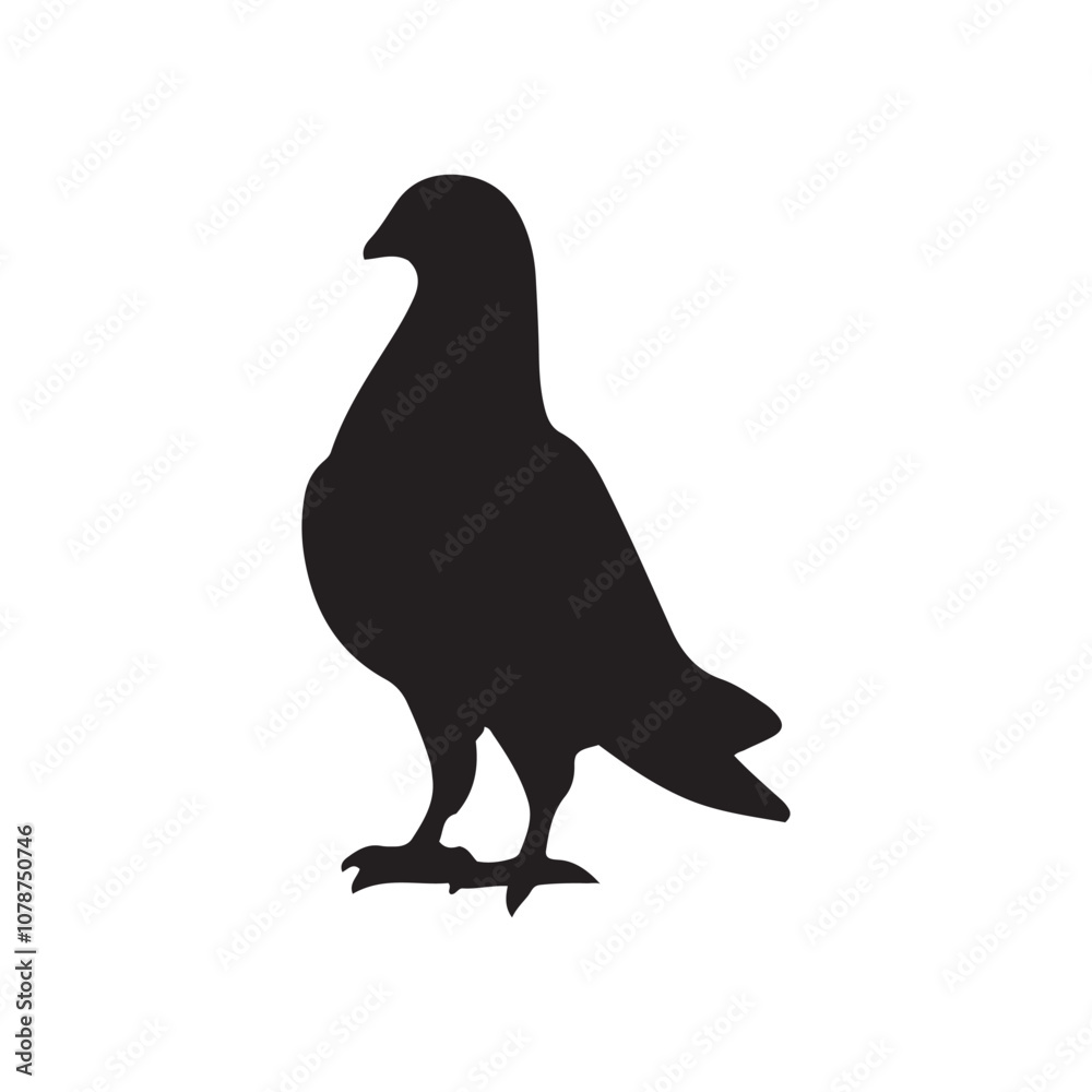 Fototapeta premium illustration of a pigeon silhouette vector art Illustration, Beautiful bird pigeon silhouette black icon vector art illustration
