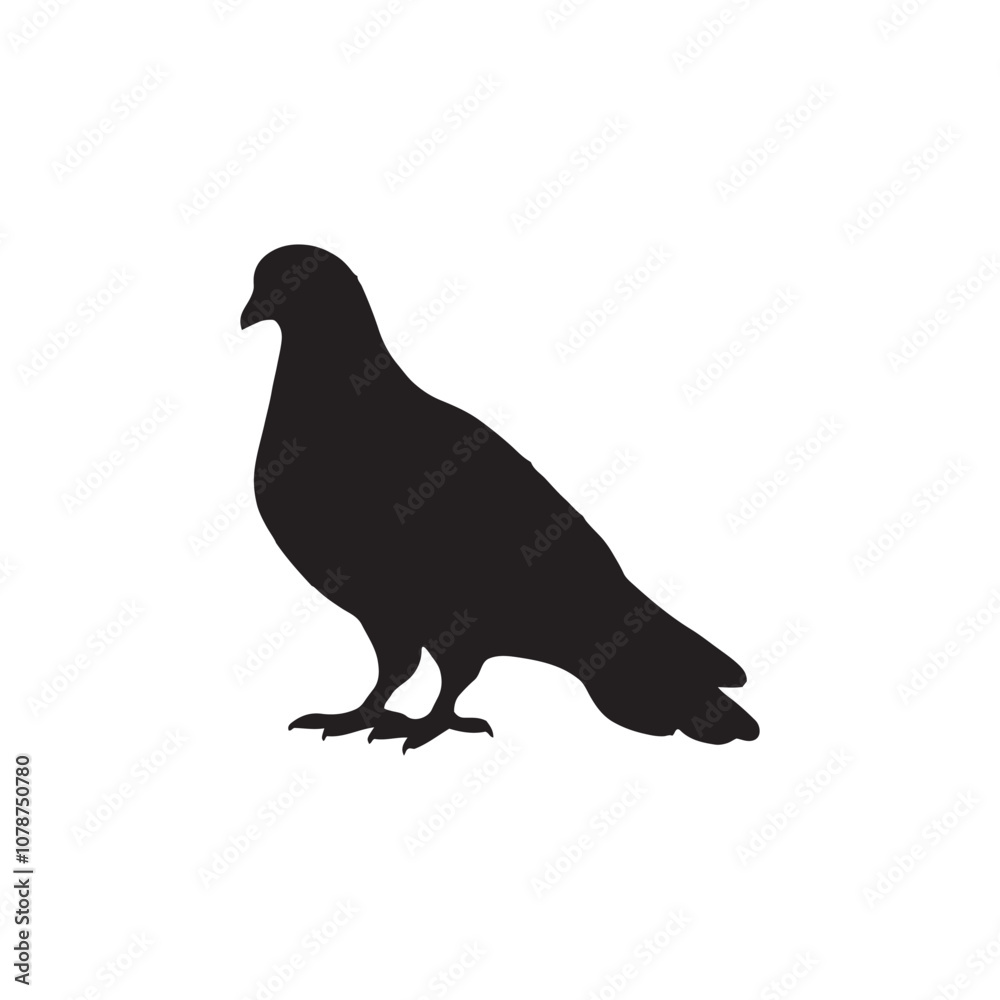 Fototapeta premium illustration of a pigeon silhouette vector art Illustration, Beautiful bird pigeon silhouette black icon vector art illustration