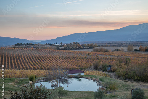 Melnik wine region landscape in Bulgaria photo