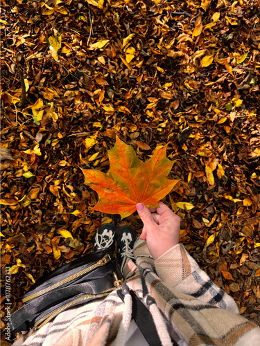 nature, page, book, bench, leaf, foliage, old, vintage, park, read, brown, open, yellow, retro, literature, light, season, forest, color, orange, outdoors, seasonal, leisure, education, october, gold,