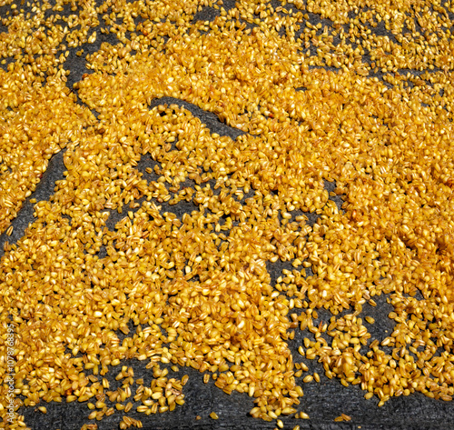 Obraz na płótnie Grains of Wheat on a Black Cloth on a Sunny Day in Huaraz, Peru w salonie