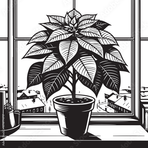 Classic Poinsettia in Windowsill. A striking black and white woodcut illustration of a poinsettia plant in a terracotta pot, sitting on a windowsill.