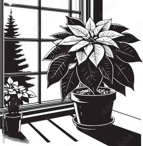 Classic Poinsettia in Windowsill. A striking black and white woodcut illustration of a poinsettia plant in a terracotta pot, sitting on a windowsill.