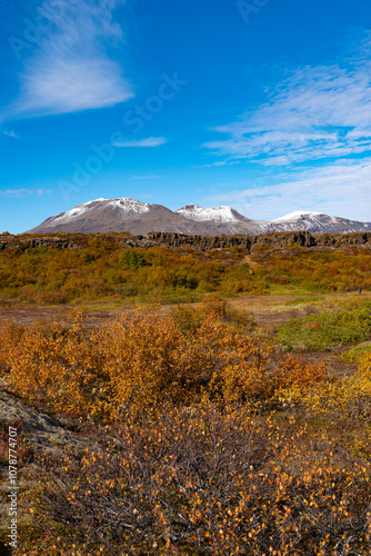 National park, Thingvellir, in Iceland, at autumn,