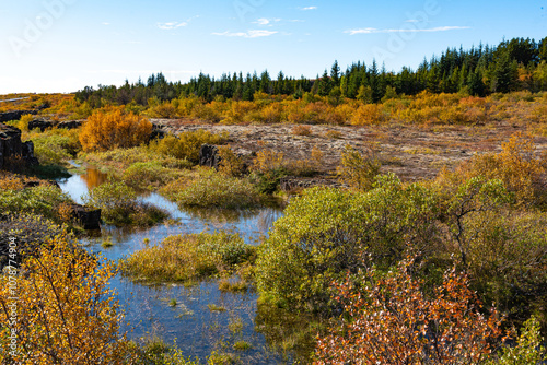 National park, Thingvellir, in Iceland, at autumn,