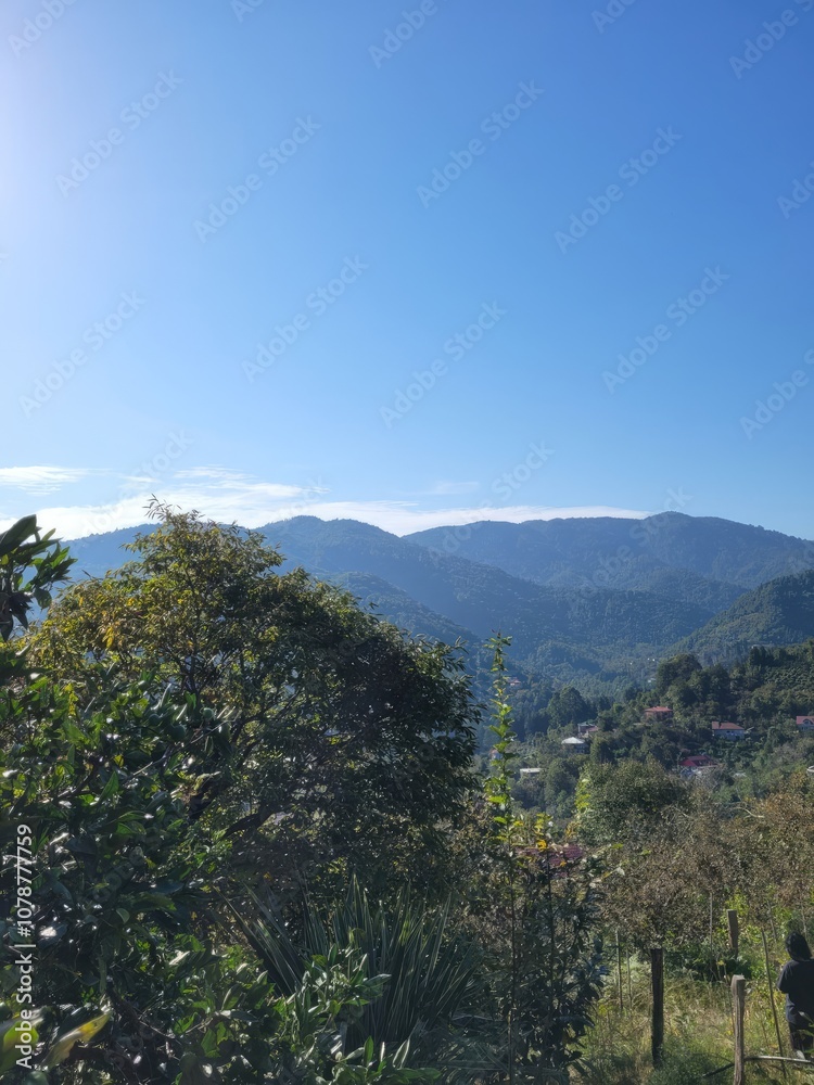 Obraz premium view from the top of mountain