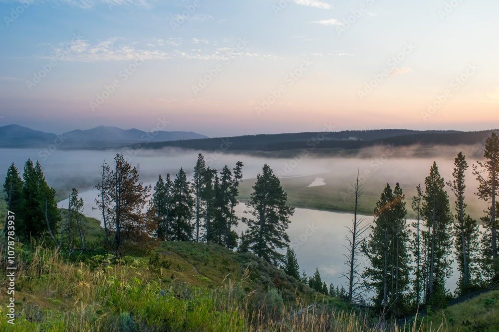 Stunning Landscape photo of Yellowstone National Park and Yellowstone River at sunrise, with fog covering the scene on an early summer day Stunning Landscape photo of Yellowstone National Park and Yellowstone River at sunrise, with fog covering the scene on an early summer day