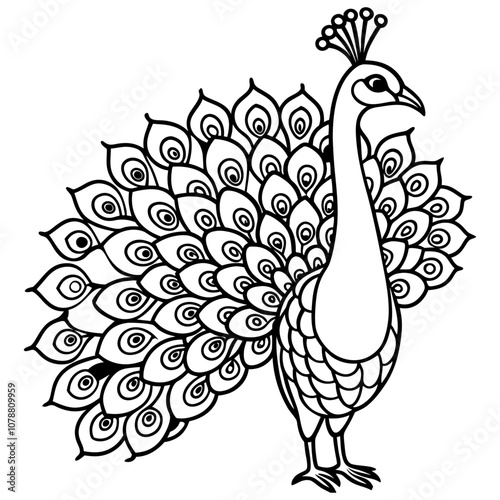 Peacock coloring pages