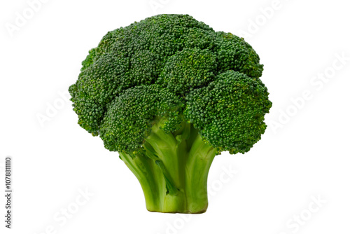 broccoli isolated on white background