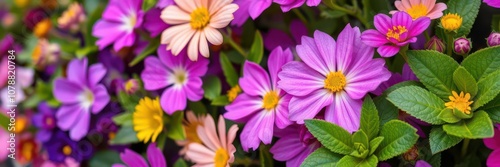 A close-up shot of delicate purple flower petals and leaves, showcasing their intricate details and vibrant colors, texture, summer, detail