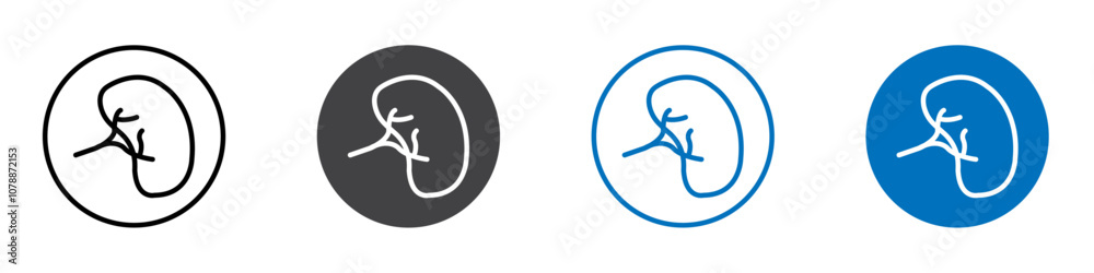 Kidney icon Logo sign in thin line outline Kidney icon Logo sign in thin line outline