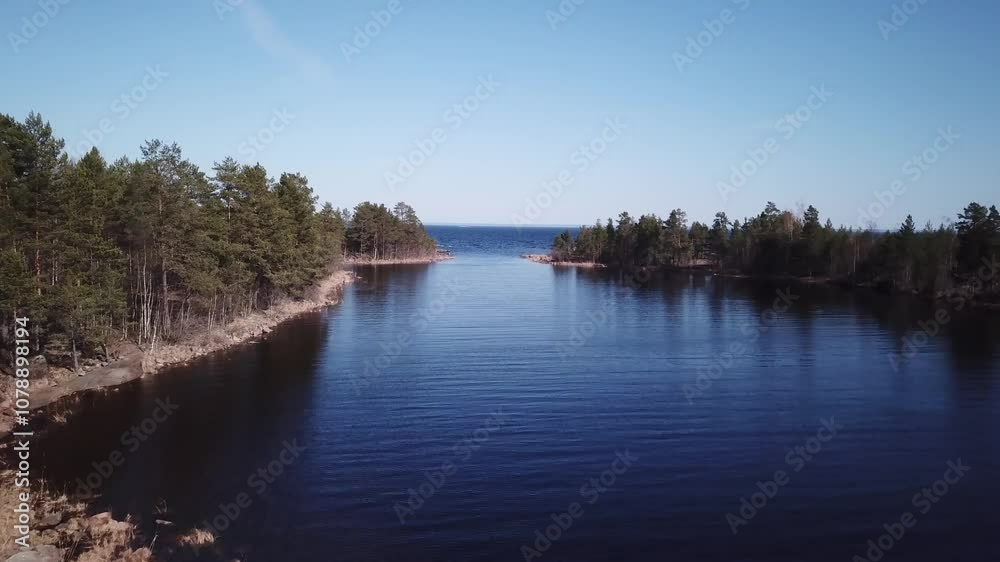 aerial landscape of lake and forest and stone coast