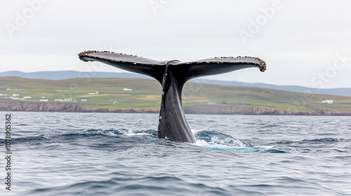 A majestic whale's tail breaches the surface of calm waters, with a picturesque coastal landscape in the background, Ideal for marine conservation projects, ocean tourism promotions photo