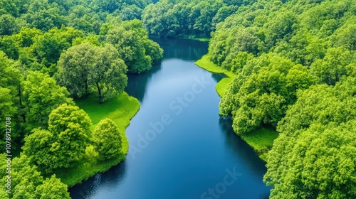 Serene Aerial View of Lush Green Forest Surrounding Tranquil River in a Vibrant Landscape Capturing Nature's Beauty and Harmony