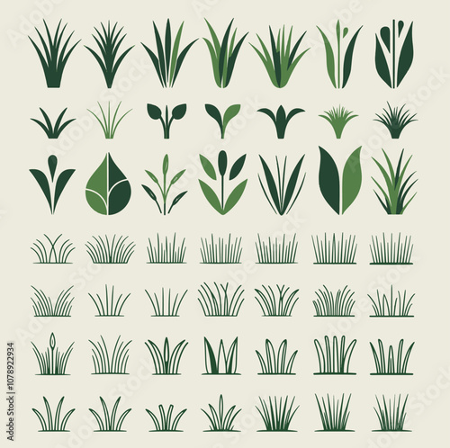 
A detailed vector collection featuring various types of grass, including lush green blades, ornamental grass clusters, and minimalist grassy patches. Ideal for landscaping, nature, or eco-themed desi