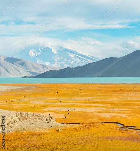 The autumn scenery of the Baisha Lake and Baisha Mountain and wetland landscape along National Highway G314 on the Pamir Plateau in Xinjiang, China during October photo