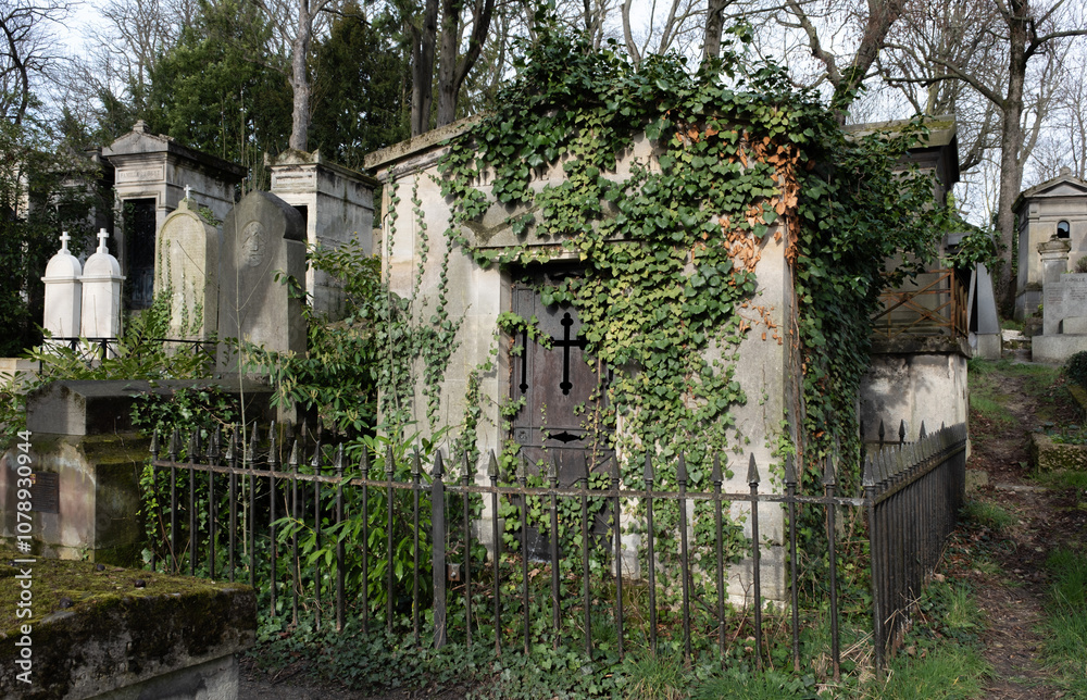 Variety of vegetation that is taking over an old cemetery. On tombstones, ground, stairs, paths... etc. Shot in the cemeteries of Montparnasse and Pere Lachaise (Paris, France). Variety of vegetation that is taking over an old cemetery. On tombstones, ground, stairs, paths... etc. Shot in the cemeteries of Montparnasse and Pere Lachaise (Paris, France).
