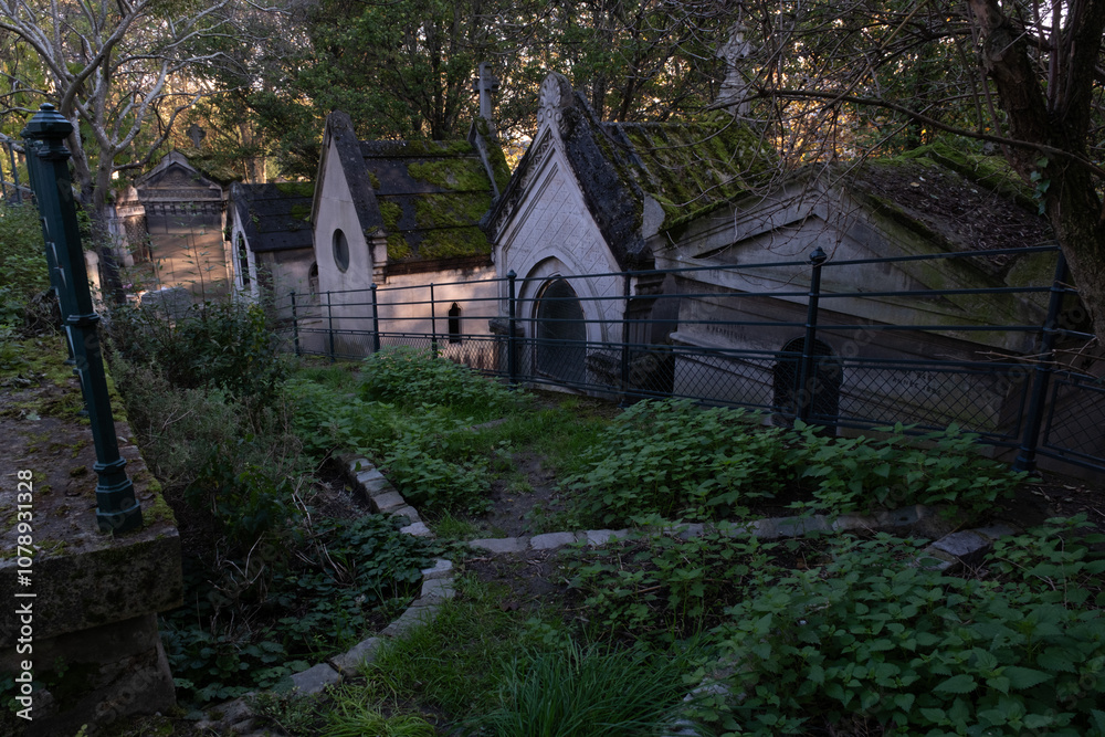 Variety of vegetation that is taking over an old cemetery. On tombstones, ground, stairs, paths... etc. Shot in the cemeteries of Montparnasse and Pere Lachaise (Paris, France). Variety of vegetation that is taking over an old cemetery. On tombstones, ground, stairs, paths... etc. Shot in the cemeteries of Montparnasse and Pere Lachaise (Paris, France).