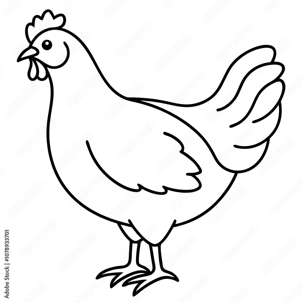 Chicken vector illustration. Chicken vector illustration.