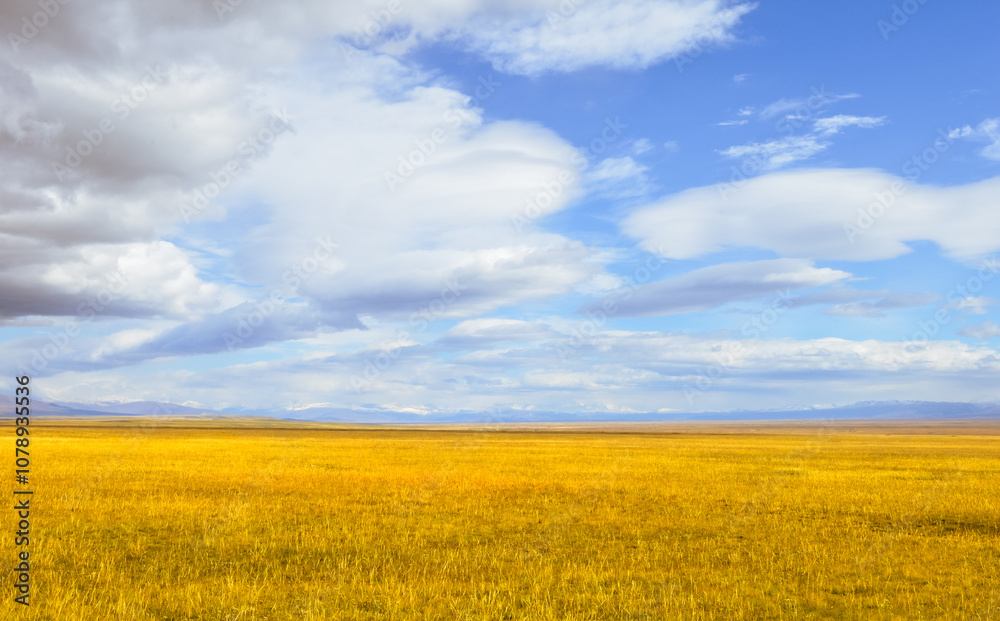 Obraz premium beautiful autumn landscape of Bayanbulak Grassland along Duku Highway(Rd. G217), Korla, Xinjiang