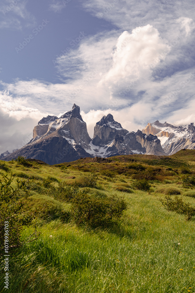 Fototapeta premium Torres del Paine National Park Chile Cuernos del Paine